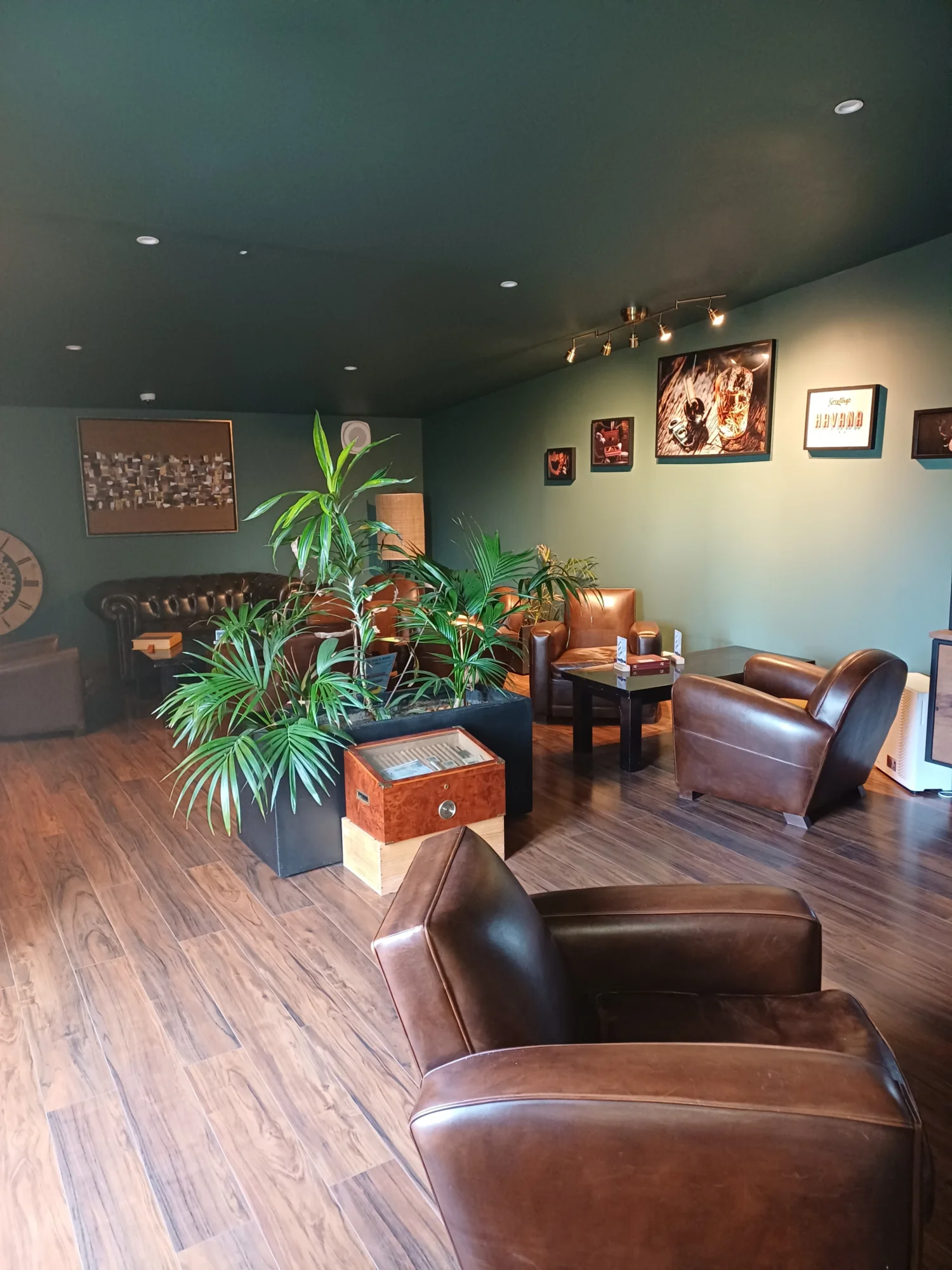 Gallery image 2